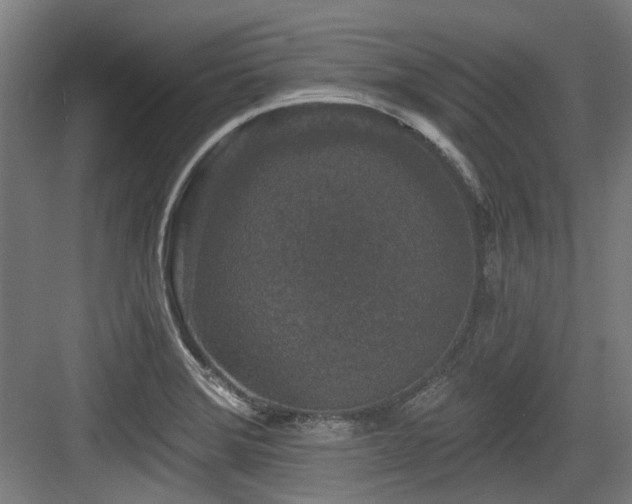 X0000083991372200702161121