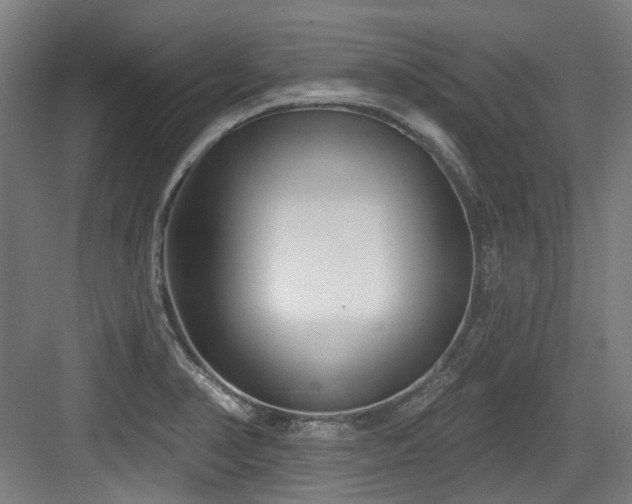 X0000083991374200702161121