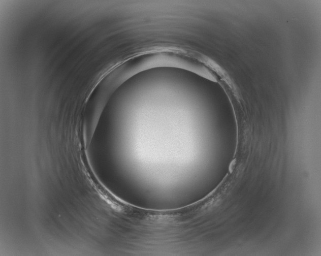 X0000083991377200702161121