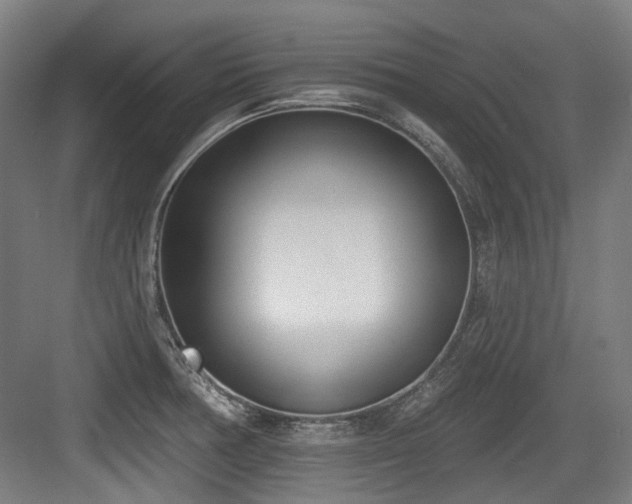 X0000083991378200702161121
