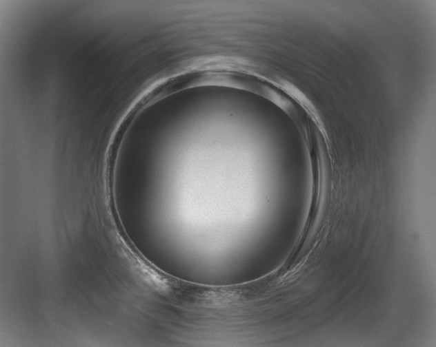 X0000083991384200702161121