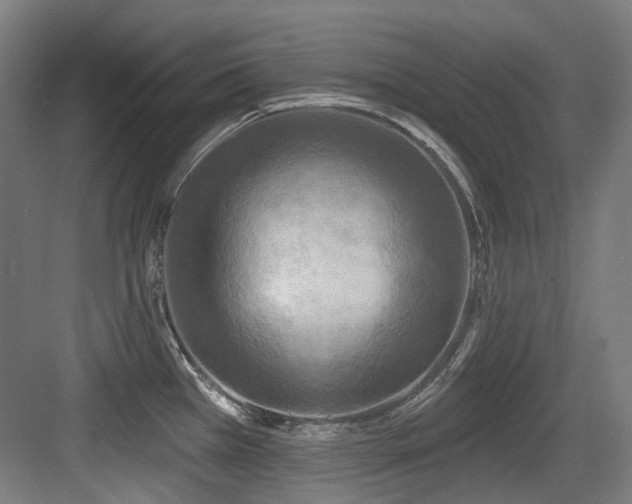 X0000083991385200702161121