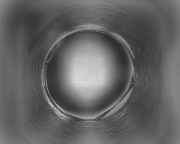 X0000083991391200702161121