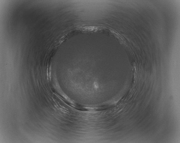 X0000083991394200702161120