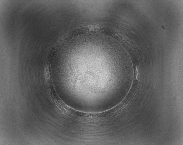 X0000083991395200702161120