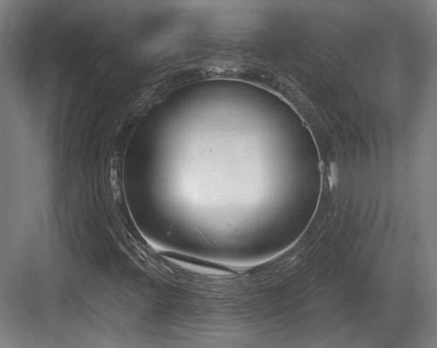 X0000083991396200702161120