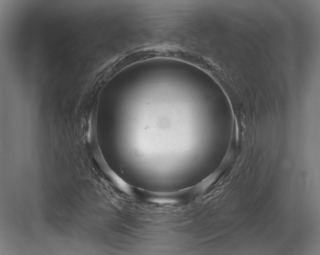 X0000083991398200702161120