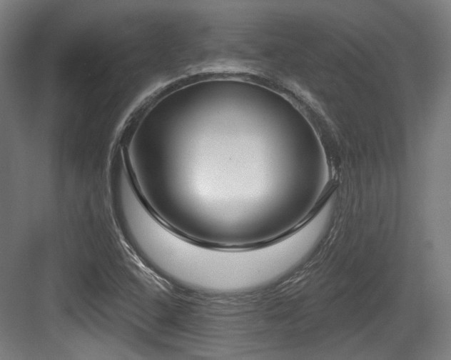 X0000083991408200702161120