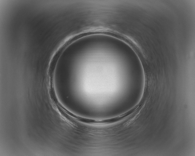 X0000083991414200702161121