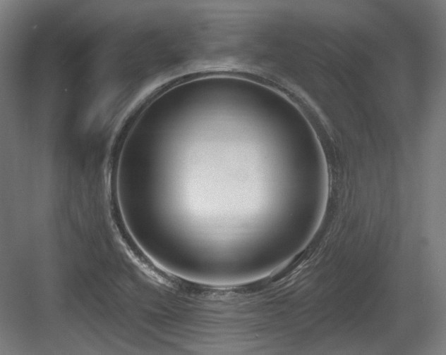 X0000083991416200702161121