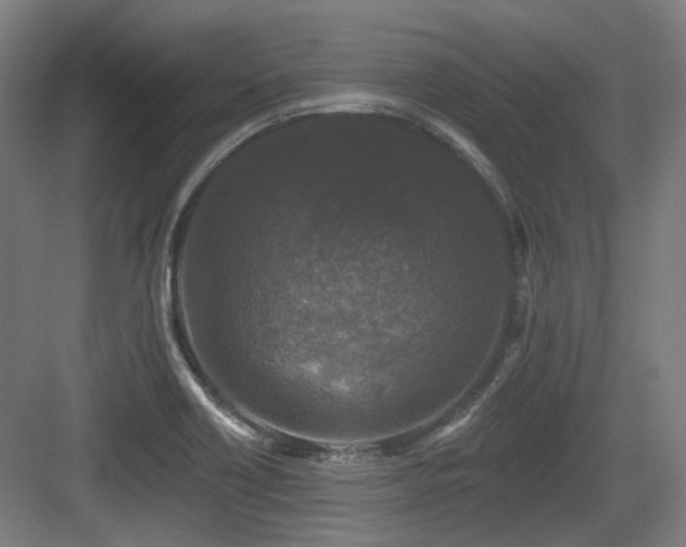 X0000083991418200702161121