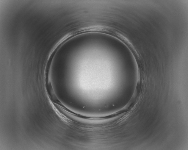 X0000083991426200702161121