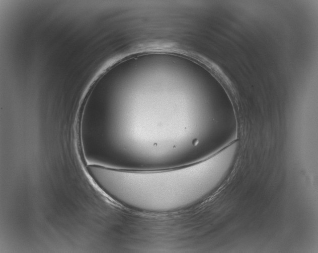 X0000083991432200702161121