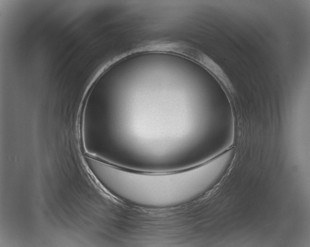 X0000083991436200702161121