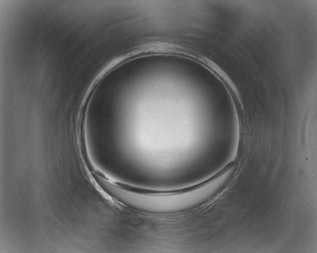X0000083991437200702161121