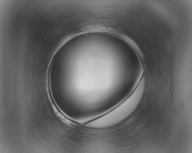 X0000083991439200702161121