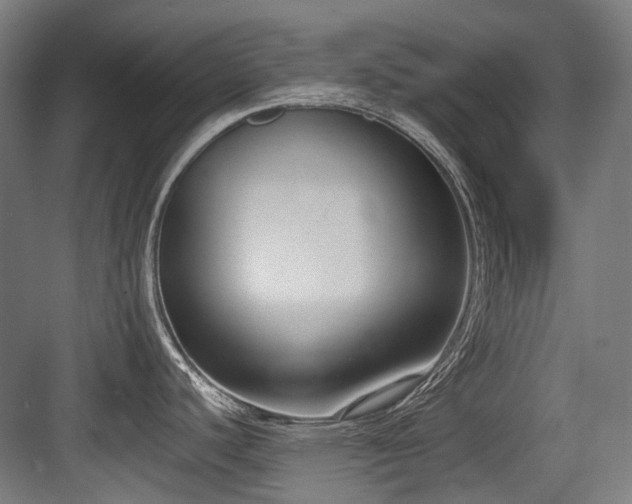 X0000083991440200702161121