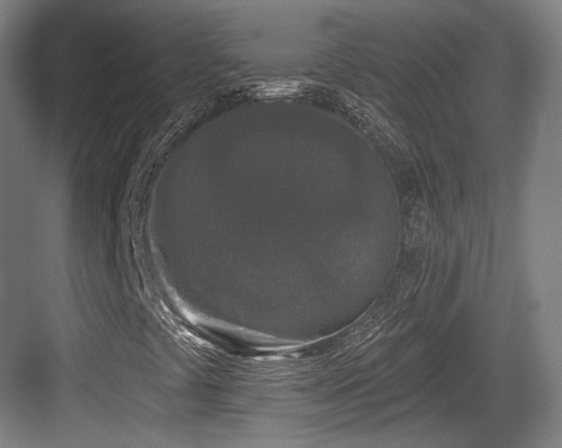 X0000083991441200702161120