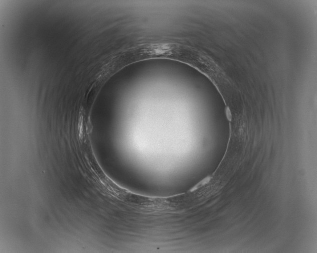 X0000083991442200702161120
