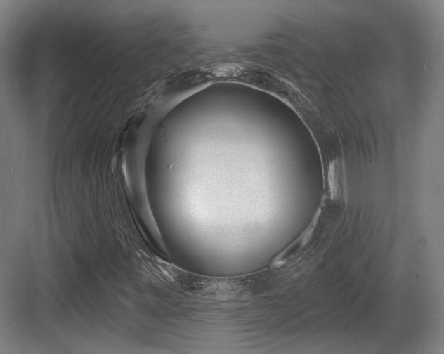 X0000083991443200702161120