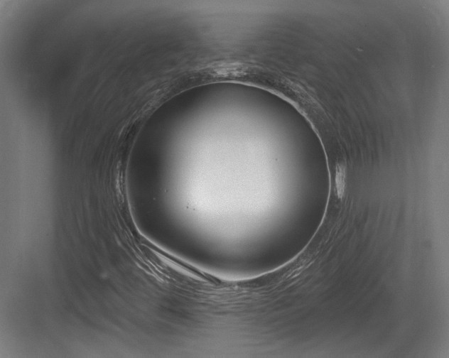 X0000083991444200702161120