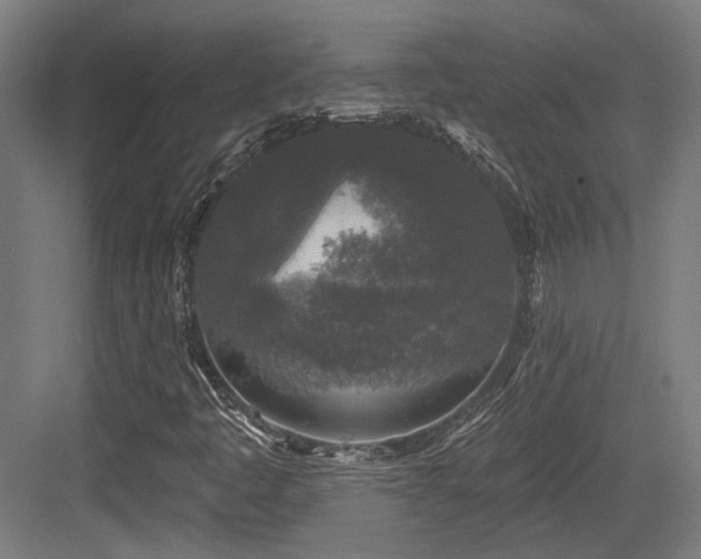 X0000083991445200702161120