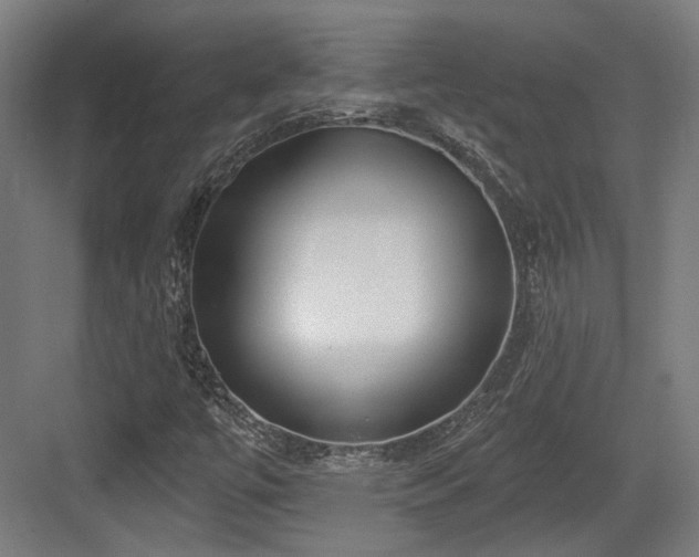 X0000083991447200702161120