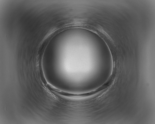 X0000083991450200702161120