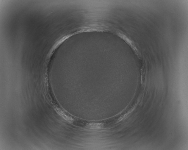 X0000083991453200702161120