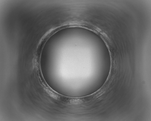 X0000083991454200702161120