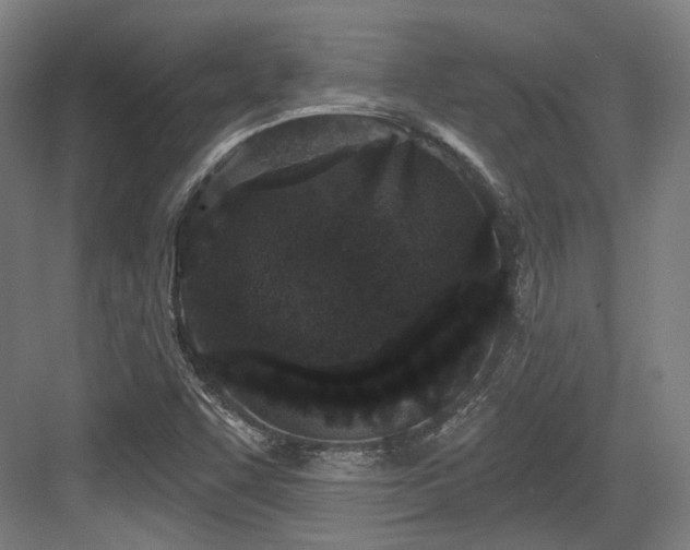 X0000083991455200702161120