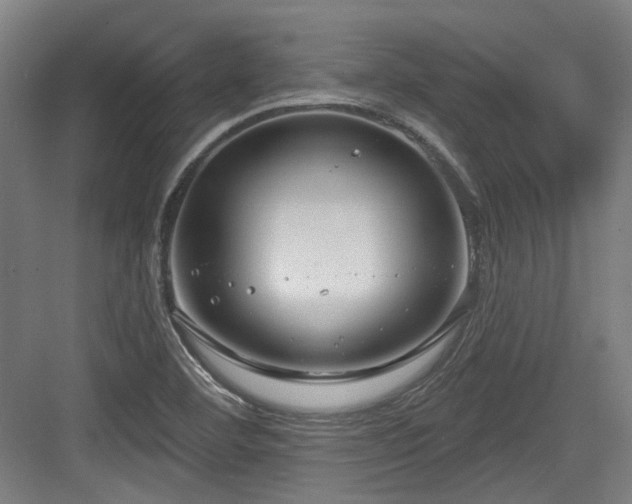 X0000083991460200702161120