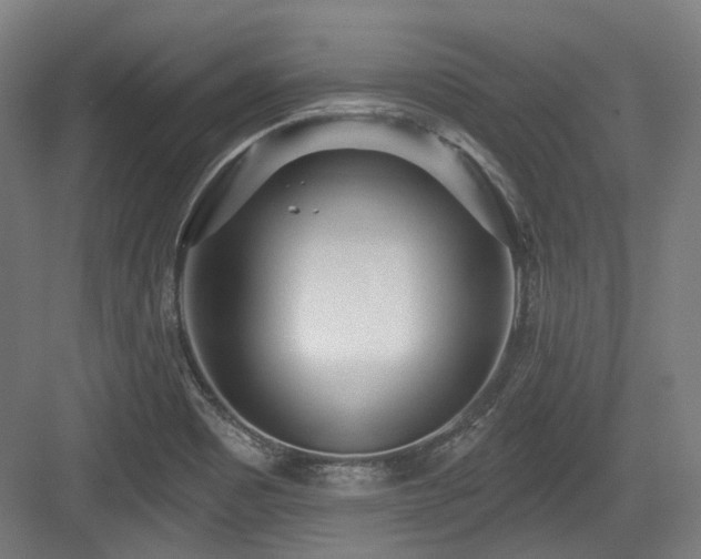 X0000083991465200702161120