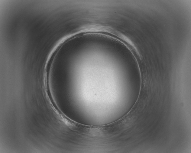 X0000083991472200702161120