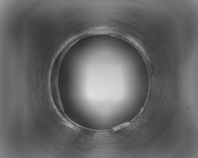 X0000083991477200702161120