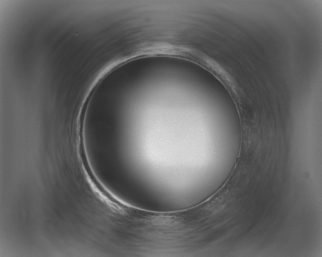 X0000083991479200702161120