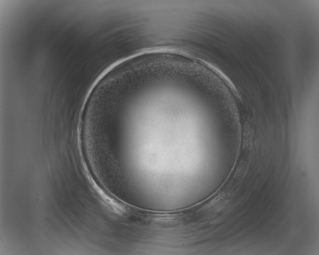 X0000083991484200702161119