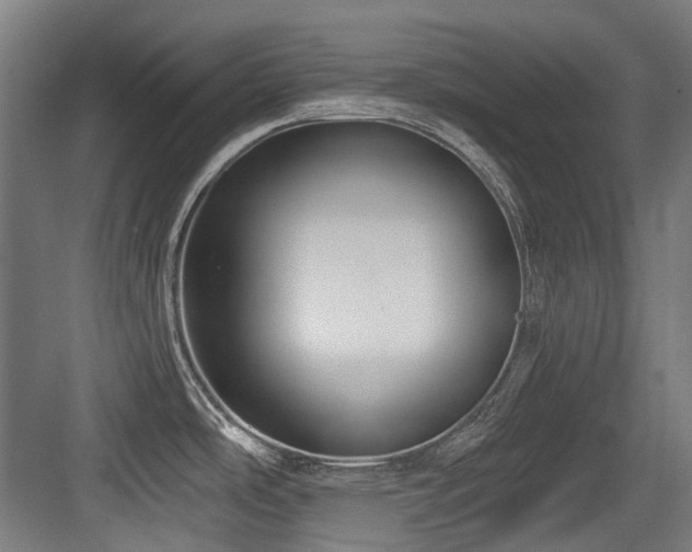 X0000083991486200702161119
