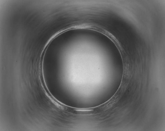 X0000083991487200702161119