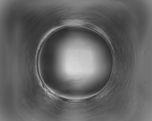 X0000083991488200702161119