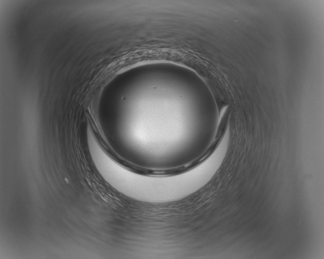 X0000083991489200702161119