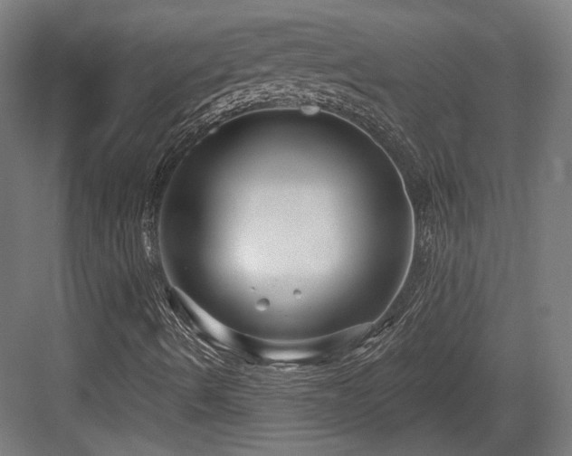 X0000083991490200702161119