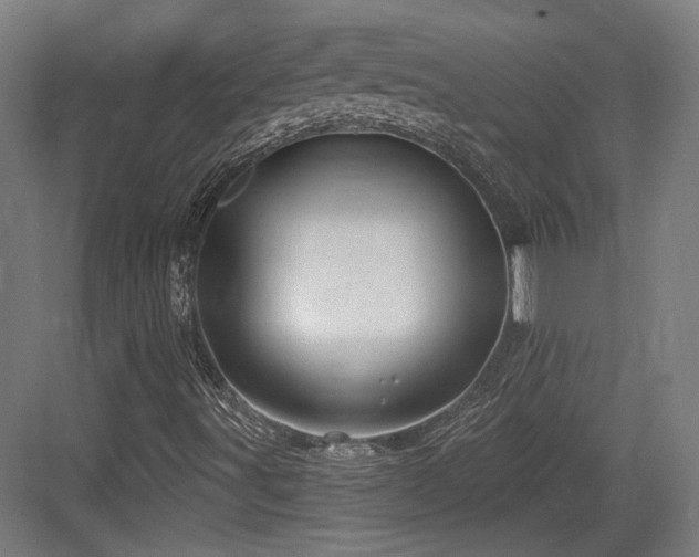 X0000083991491200702161119