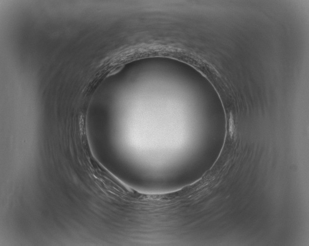 X0000083991492200702161119