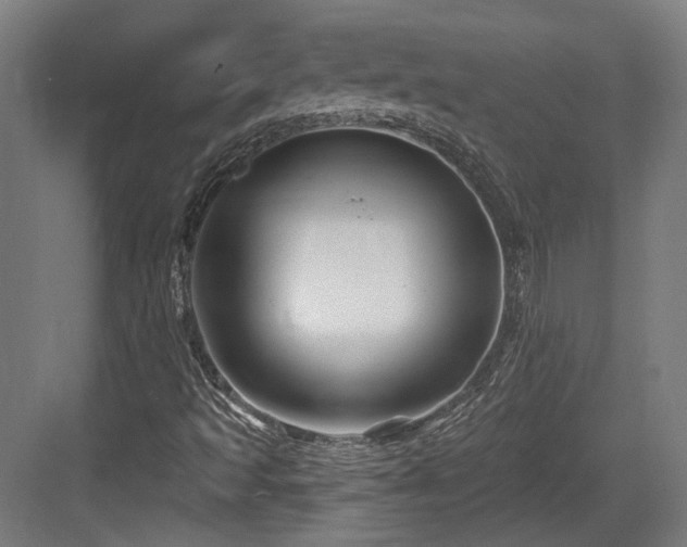X0000083991493200702161119