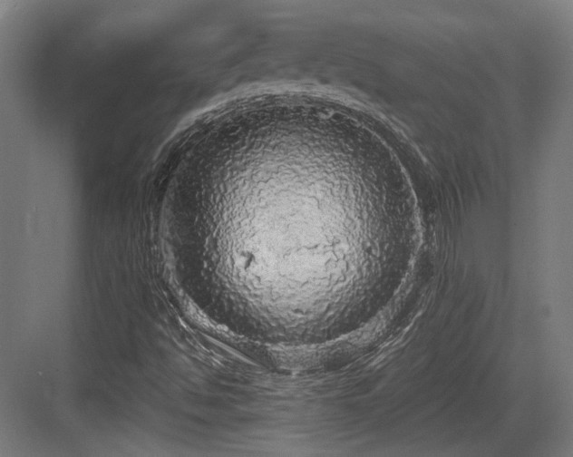 X0000083991494200702161119