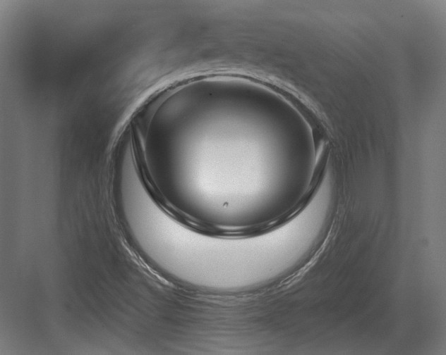 X0000083991502200702161119