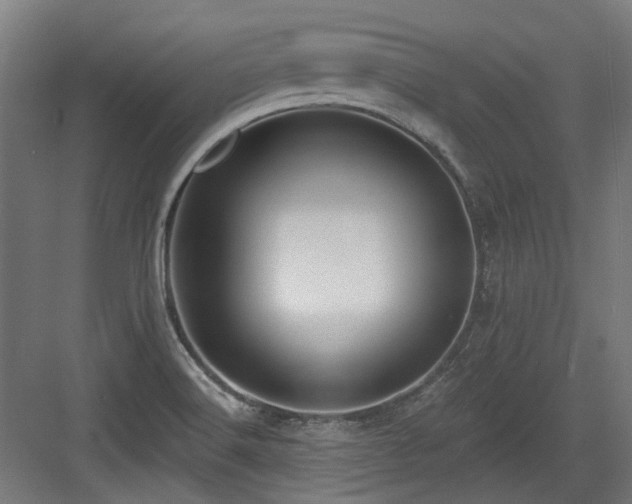 X0000083991516200702161119