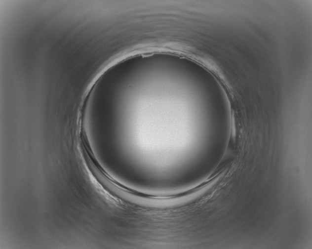 X0000083991524200702161119