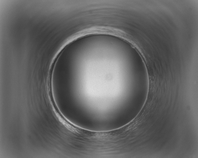 X0000083991531200702161119